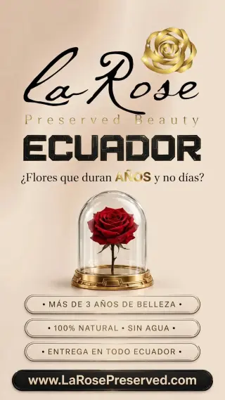 Ecuadorian Preserved Roses Infinity Flowers Eternal Roses