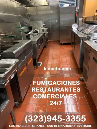 FUMIGACIONES 🎃 🦇 HALLOWEEN 🦇 🎃 24/7.~ LOS ANGELES.~