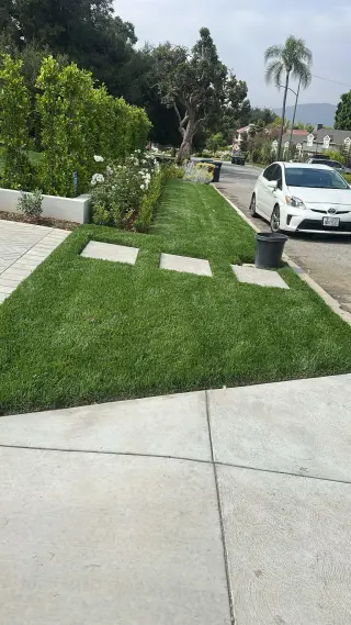 Landscaping y jardineria