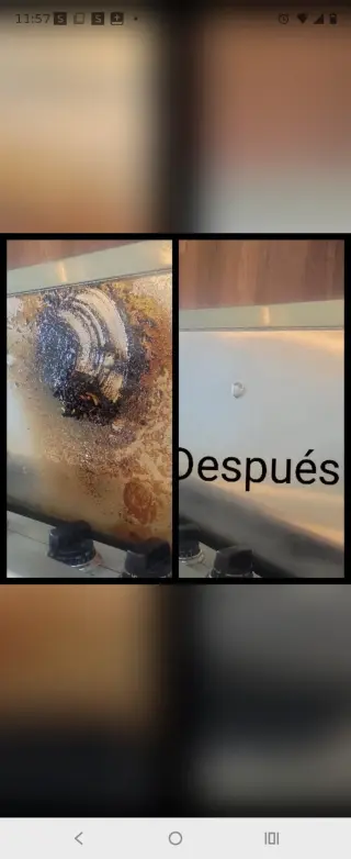 Servicios de Limpieza Profesional
