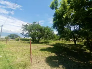 Puerto Corona