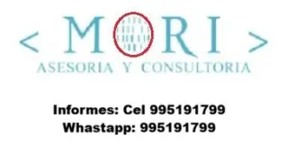 Asesoria y Consultoria en tesis de pregrado y posgrado
