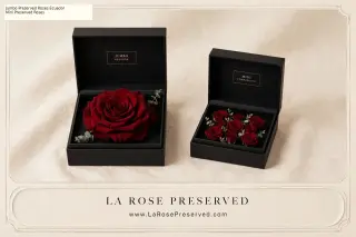 Rosas Preservadas Ecuador Infinity Blooms Flores Eternas