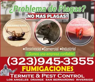 EXTERMINADORES MAYWOOD Y AREAS CERCANAS.~