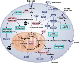 Clases de Química y Bioquímica