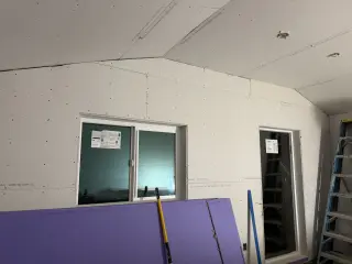 Servicios Profesionales de Pintura de Casas