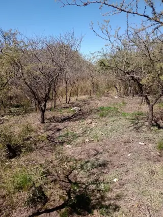 Terreno 343 m² con escritura en Salsipuedes – USD 9.600