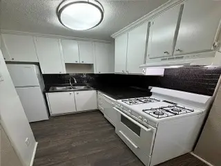 Beautiful hardwood floor home