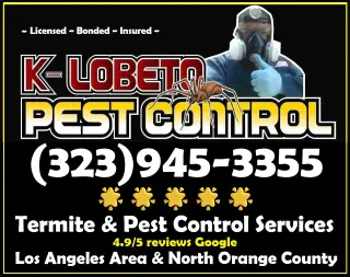 FUMIGACIONES LOCALES EN LOS ANGELES 24/7.-