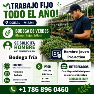📢INICIO INMEDIATO EN WAREHOUSE