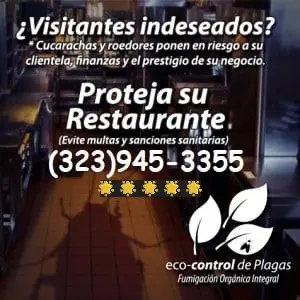 EXTERMINADORES CERCA DE USTED ~ LLAMENOS HOY .-