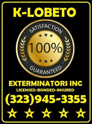 FUMIGACIONES 24/7.- RESIDENCIALES Y COMERCIALES.-