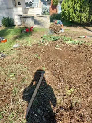 ET junk removal