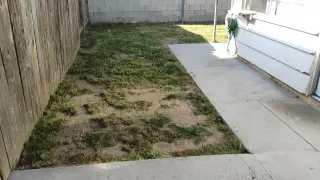Corte de pasto limpieza con sopladora