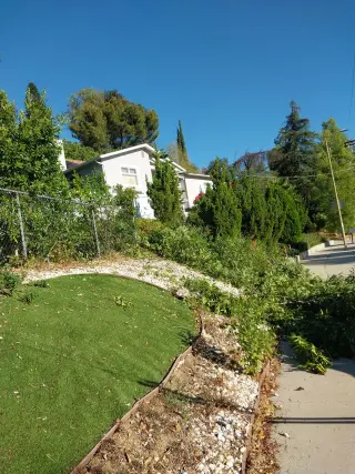 E&T Lawn Maintenance and Tree Trimming