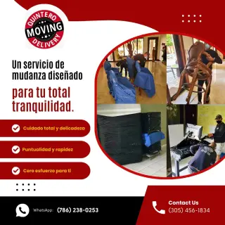 Mudanzas en florida
