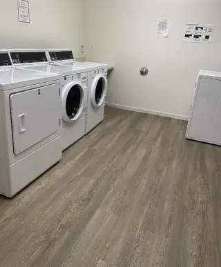 Brea CA acepta gatos y perros lavanderia en edificio mascotas