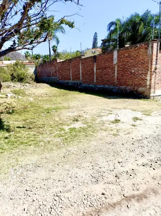 Lote Amelia
