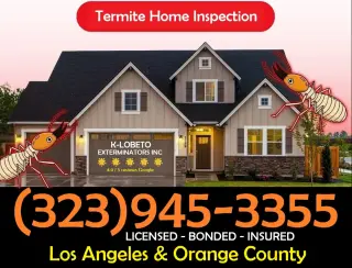 Inspector Termitas Los Angeles y Fumigaciones.-
