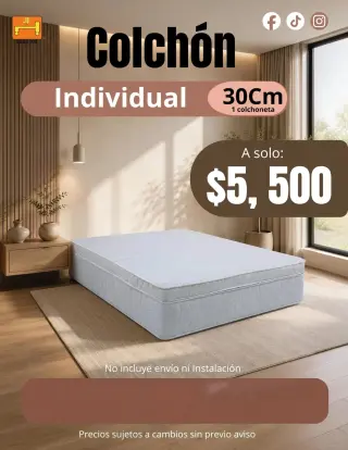 ¿Buscas un Colchón Individual Ortopédico de 30 cm  en Monterrey ?