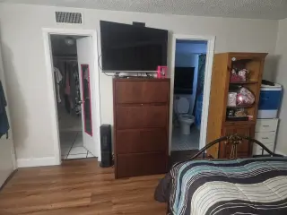 Roommate