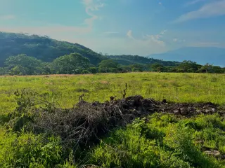 Great & Affordable, Lot B