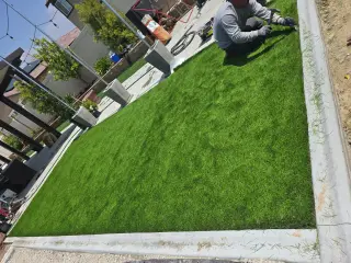 Professional Landscaping Services