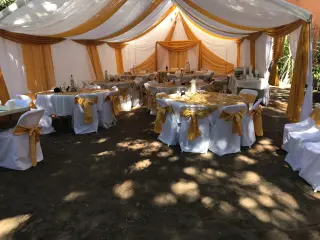 Sillas de resina