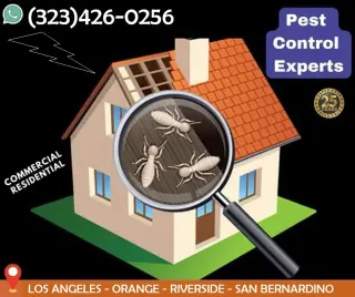 FUMIGACIONES TERMITAS EAST LOS ANGELES