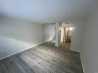 Cozy 1-Bed and 1-Bath