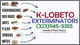 FUMIGACIONES - EXTERMINADORES MAYWOOD 24/7.-