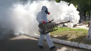 FUMIGACION 100% GARANTIZADA