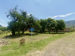 Puerto Corona