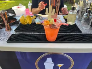 Bartenders y Meseros