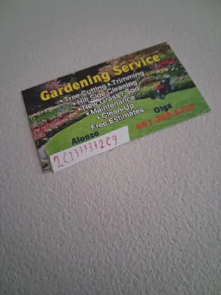 Servicios de Jardinería Profesionales