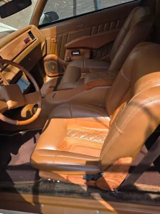 1981 Chevrolet Monte Carlo