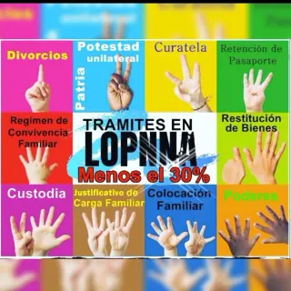 Servicios Legales y Investigaciones Privadas.