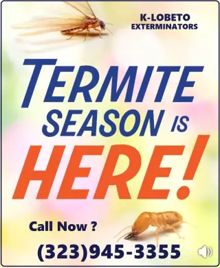 EXTERMINADORES MAYWOOD Y AREAS CERCANAS.~