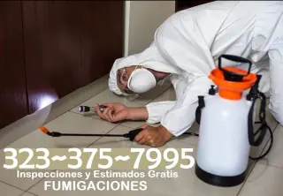 FUMIGACIONES ~ PLAGAS LOS ANGELES