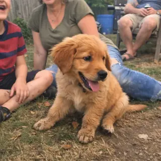 Intelligent and easy to train