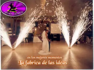 coreografias profesionales para xv años