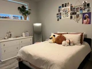 Spacious Room for Rent in Miami