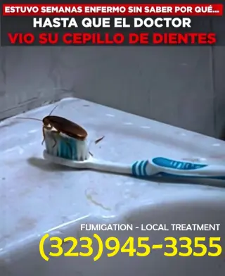 FUMIGACIONES PERSONALES CERTIFICADOS ESTADO CALIFORNIA