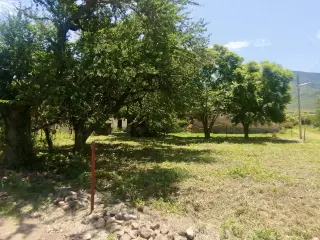 Puerto Corona
