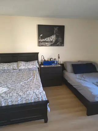 Compartir apartamento de 1 recamara muy amplio y limpio