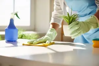 CINDERELLAS CLEANING