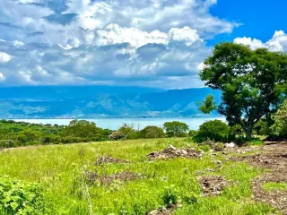 Great & Affordable, Lot A
