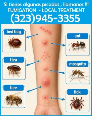 FUMIGACIONES - EXTERMINADORES MAYWOOD 24/7.-