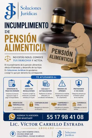 INCUMPLIMIENTO PENSIÓN ALIMENTICIA - ASESORÍA LEGAL GRATUITA.