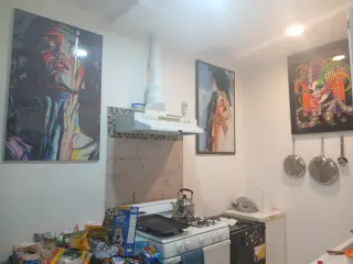 Se comparte single apt solo con mujer
